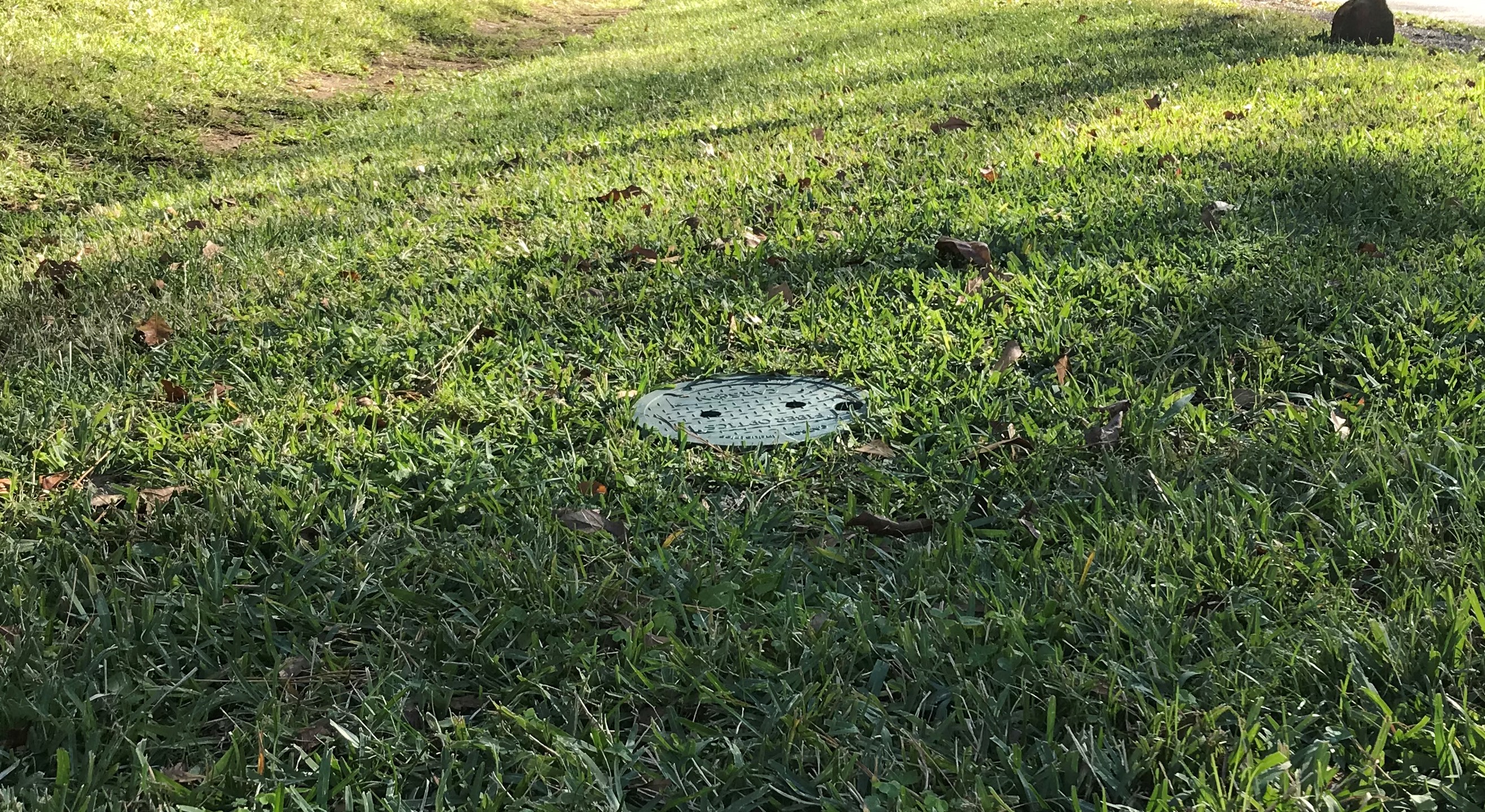 Tachus Blog Why Tachus Installs Flowerpots in Front Yards